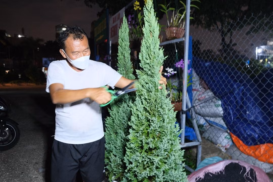 Anh Thiện Sanh, chủ cửa hàng cây kiểng L.U cho biết, khác với các năm trước, năm nay cửa hàng anh sẽ đẩy mạnh bán hàng qua các kênh online là chủ yếu.