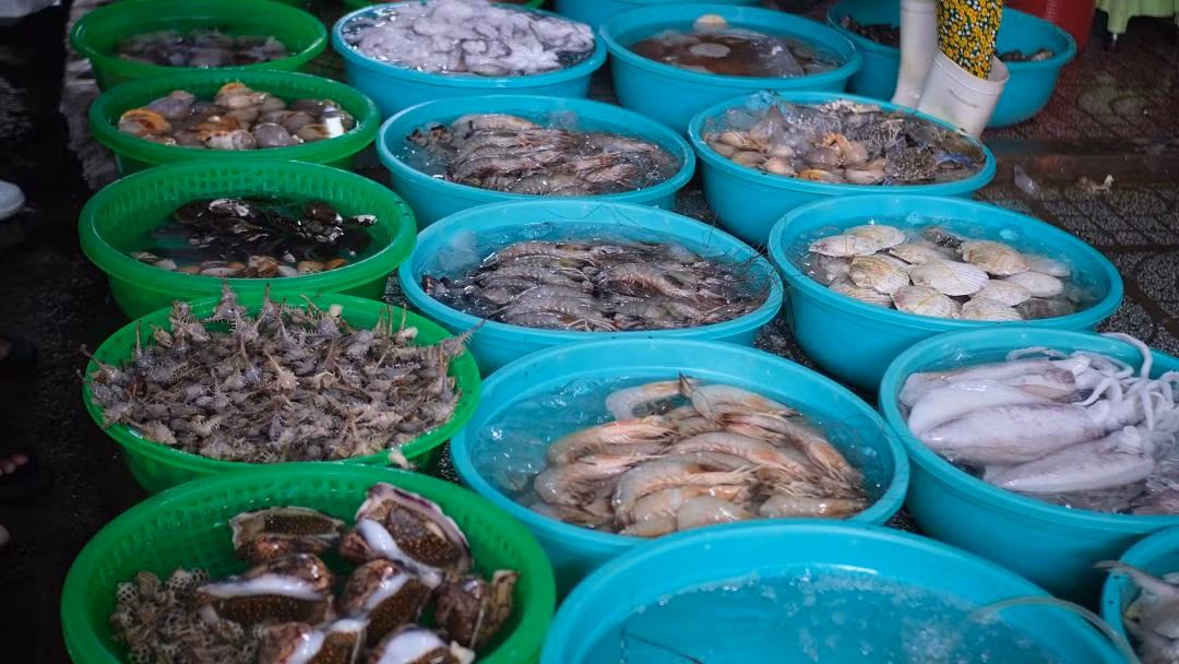 Những dãy dài thau, chậu bằng nhựa chứa đầy ắp những là cá, tôm, cua, ghẹ, ốc biển đủ loại…