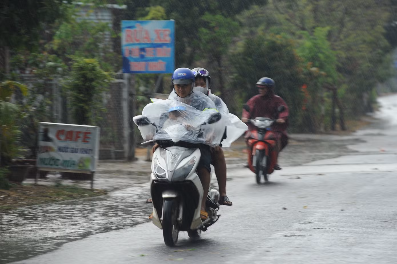 Cơn mưa rất dày hạt