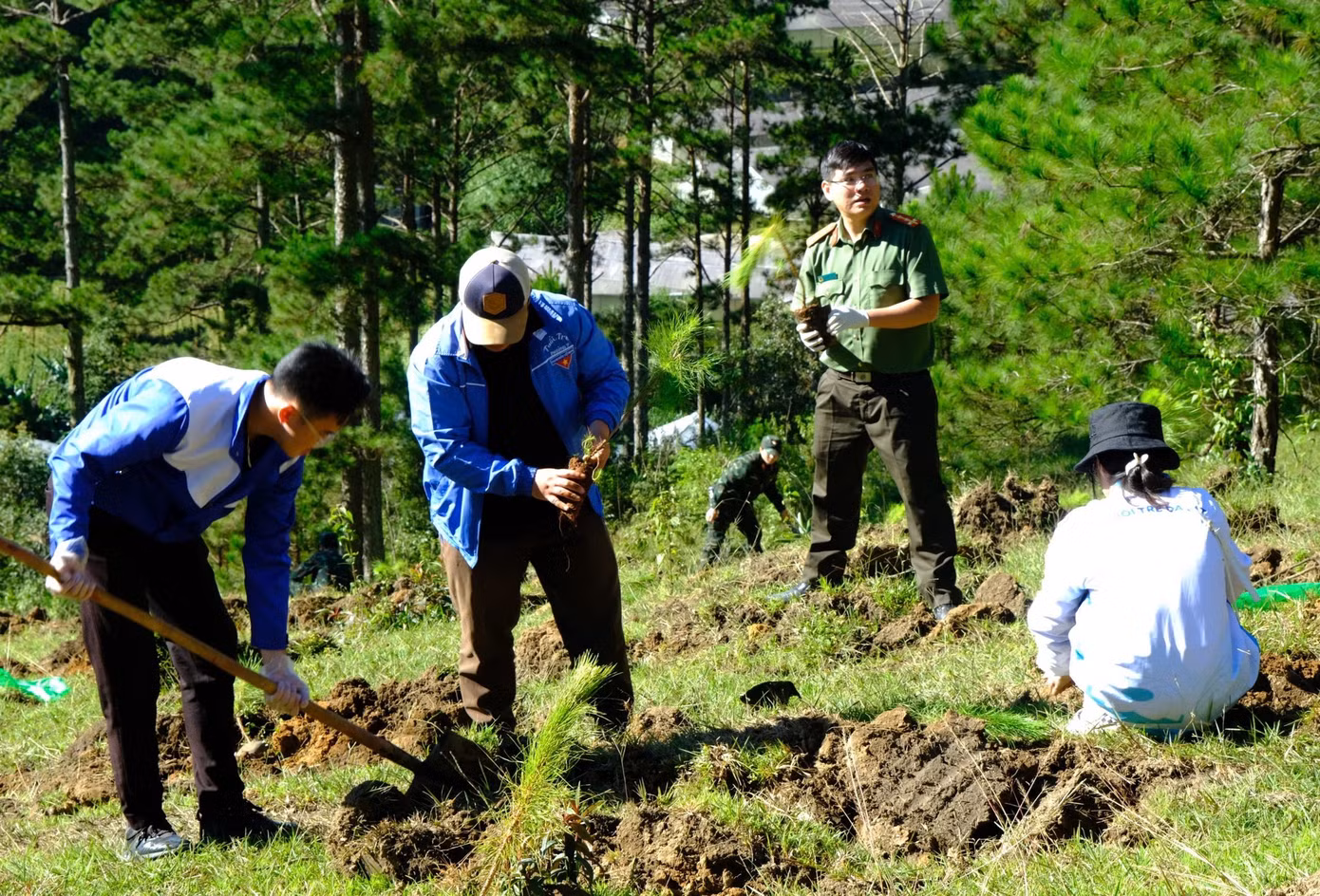 Các cấp ngành địa phương thành phố Đà Lạt đang nỗ lực trồng cây, bảo vệ môi trường