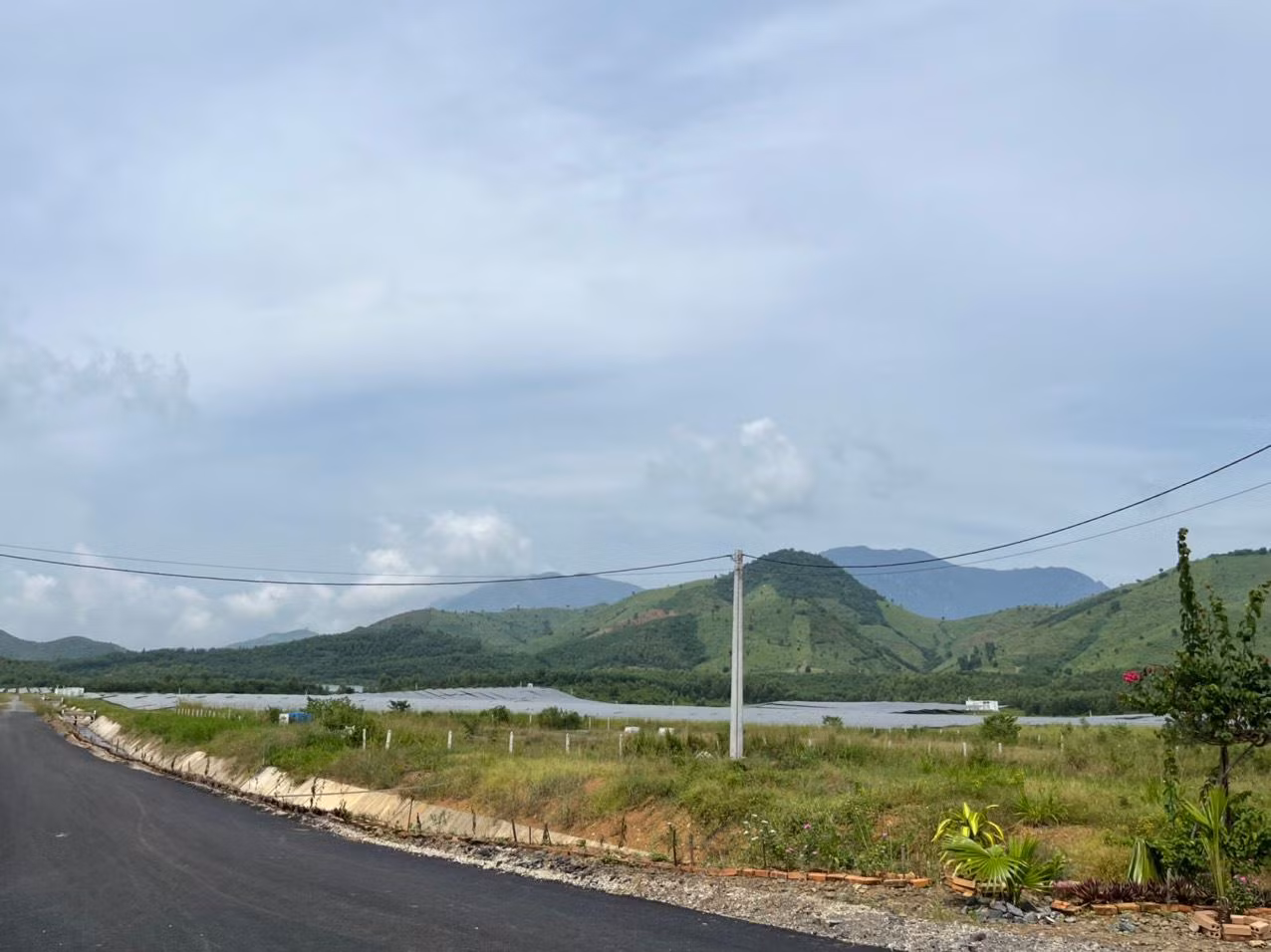 Nhiều dự án NLMT ở Khánh Hoà xây dựng chồng lấn trên đất rừng sản xuất (ảnh: L.H).