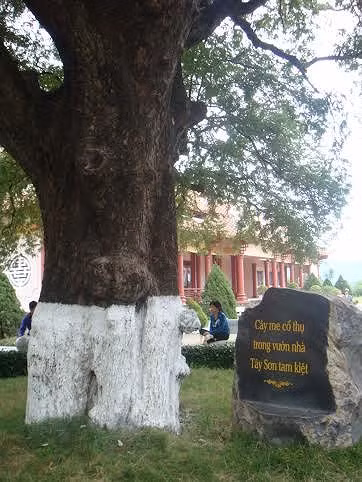 Hàng vạn người về dự Lễ hội Đống đa Tây Sơn ảnh 3
