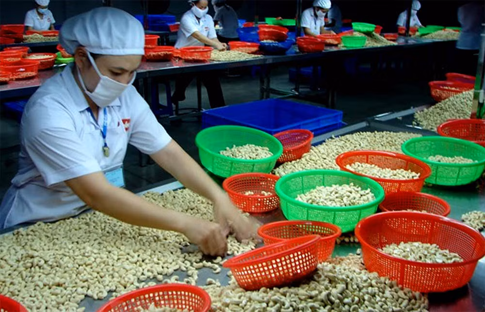 Việc điều thô nhập lậu liên tục đổ bộ vào thị trường nội địa gây ảnh hưởng lớn đến hoạt động sản xuất trong nước (ảnh minh họa).