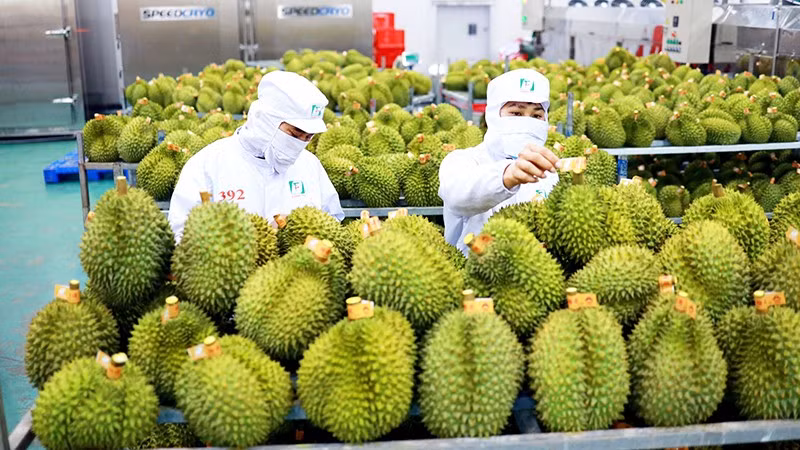 Xuất khẩu rau quả được kỳ vọng tỏa sáng trong năm nay