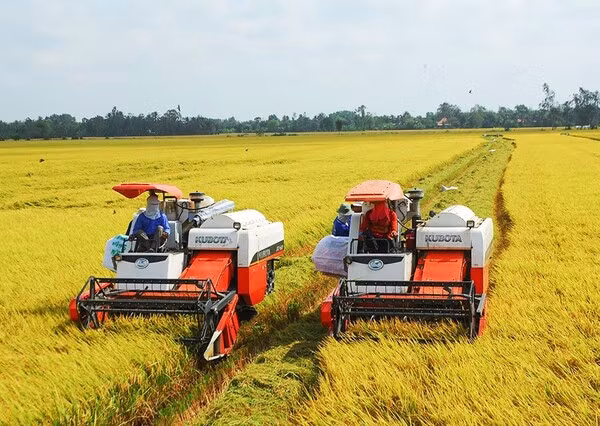 Việc thực hiện đề án cần áp dụng với hợp tác xã có diện tích trên 3.000 ha để giảm chi phí, đảm bảo chất lượng đồng bộ.