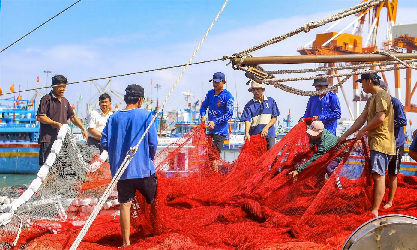 Ngư dân Bình Định chuẩn bị lưới cho chuyến vươn khơi bám biển. Ảnh: Trương Định