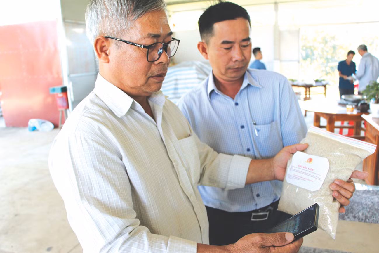 Ông Nguyễn Thanh Hùng chuẩn bị cho ra sản phẩm gạo sạch Bàu Kiên