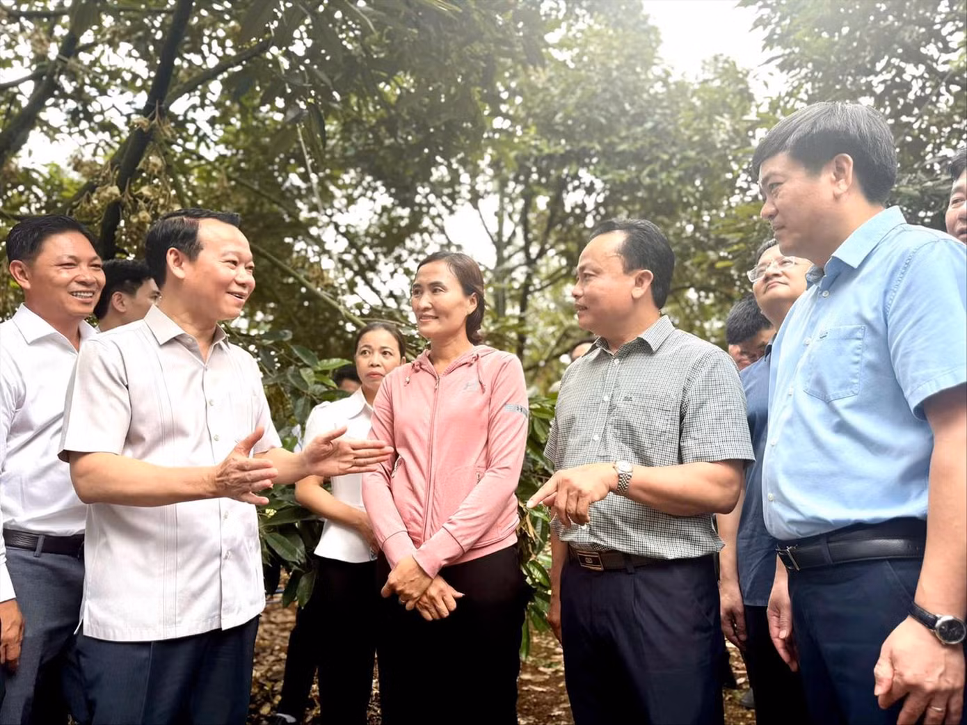 Bộ trưởng Bộ Nông nghiệp và Môi trường Đỗ Đức Duy cùng đoàn công tác đi thực địa vùng trồng sầu riêng tại huyện Krông Pắc (Đắk Lắk). Ảnh: NG