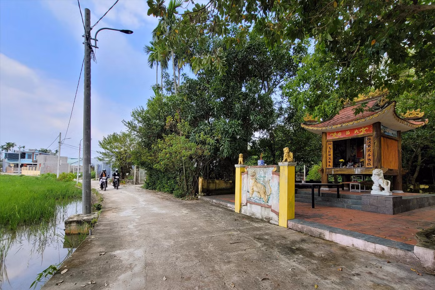 Giữa làn sóng đô thị hóa, làng cổ Phong Nam vẫn giữ được nét chân quê, hồn hậu với tỷ lệ cây xanh chiếm 85% diện tích. Ảnh: Giang Thanh
