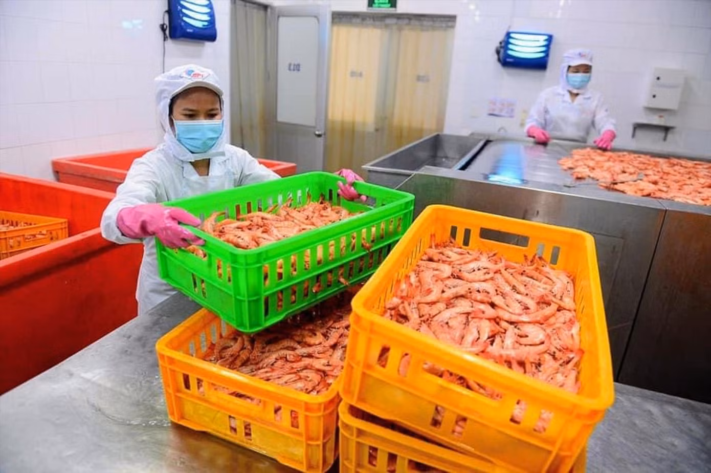 DN gặp khó khi cước phí vận tải biển tăng cao. Ảnh: Uyên Phương