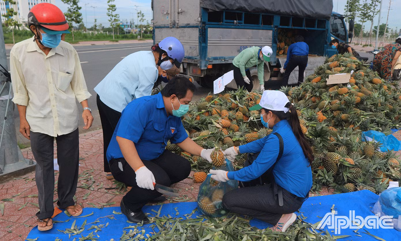 Tuổi trẻ Tiền Giang tham gia hỗ trợ người dân tiêu thụ nông sản thời điểm dịch bệnh COVID-19 diễn biến phức tạp