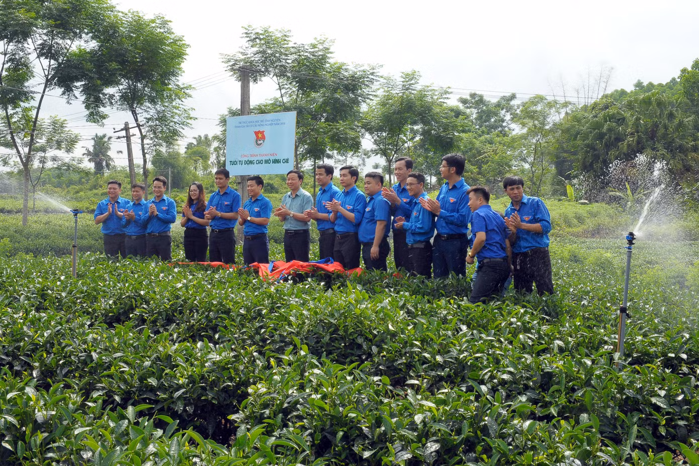 Trí thức trẻ hỗ trợ mô hình trồng chè ở Thái Nguyên Ảnh: Xuân Tùng
