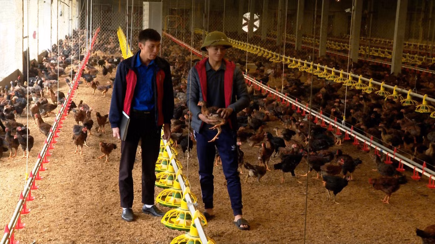 Anh Nguyễn Văn Tám (bên trái) và mô hình chăn nuôi gà tự động Ảnh: Thu Trang