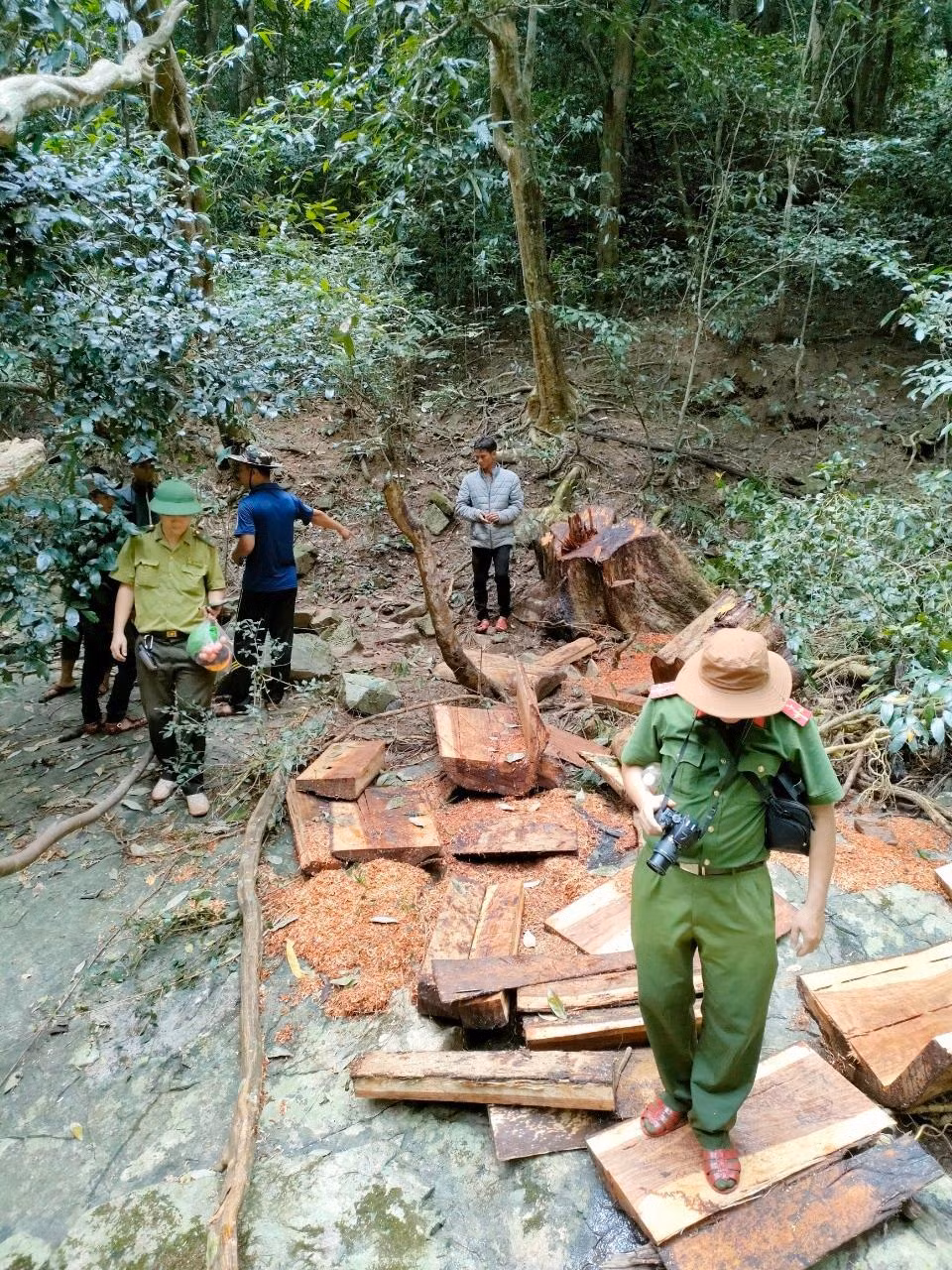 Rừng ở K'Bang luôn bị lâm tặc nhòm ngó