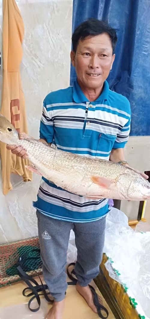 Con cá 'lạ' ở Quảng Ngãi, trả 150 triệu đồng chưa bán ảnh 1