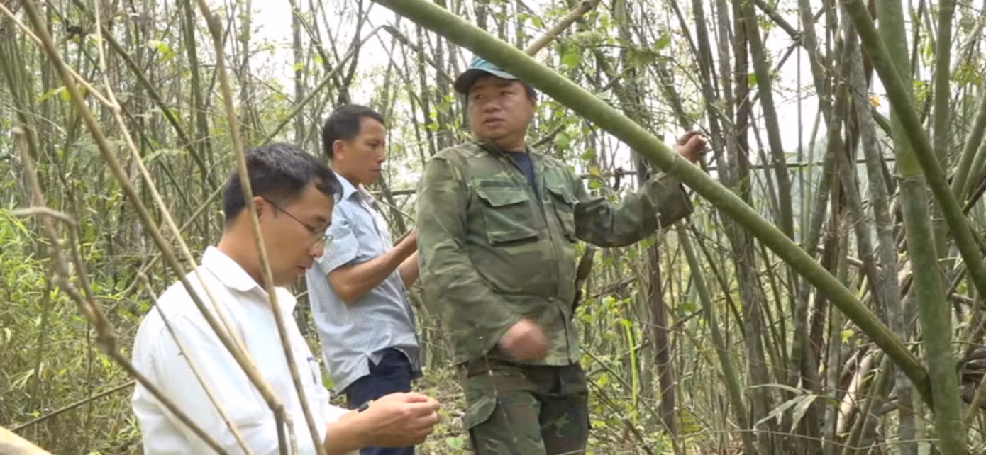 Đồng thời với việc tuyên truyền người dân phòng cháy rừng, chính quyền địa phương đưa nhiều giải pháp tạo sinh kế cho người dân, đảm bảo cuộc sống.