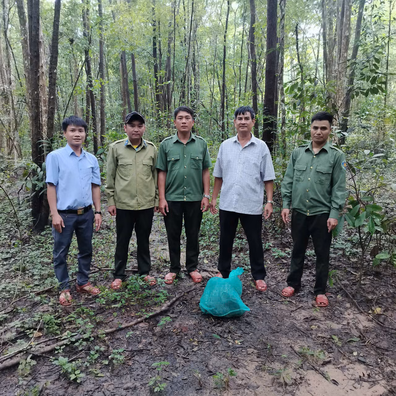 Lực lượng chức năng thả cá thể trăn đất về với tự nhiên.