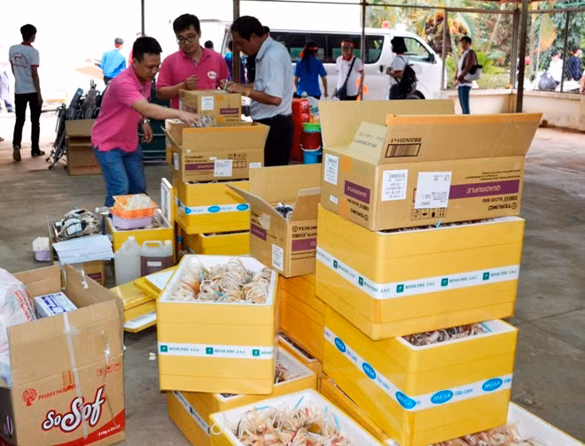 Chủ Nhật Đỏ 2016: Nơi dòng máu các dân tộc hòa chung ảnh 8