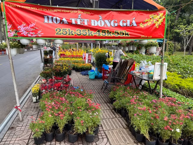 Hoa bán đồng giá tại Công viên Gia Định