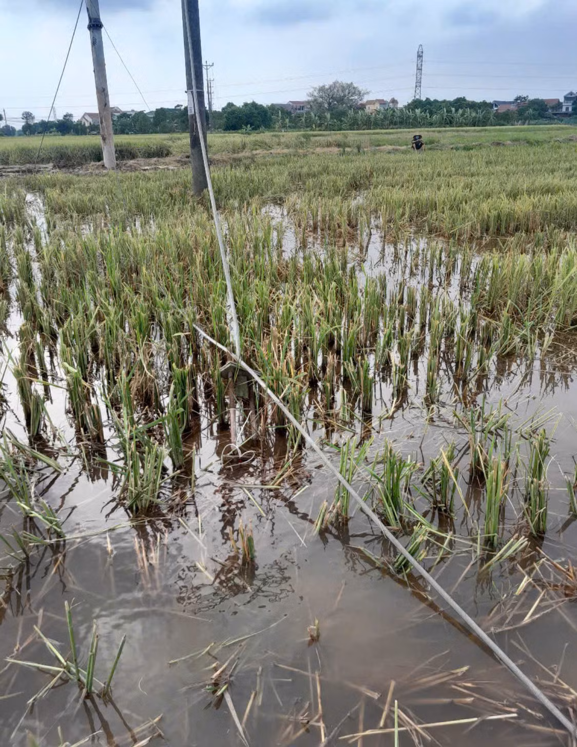 Vị trí nạn nhân tử vong.