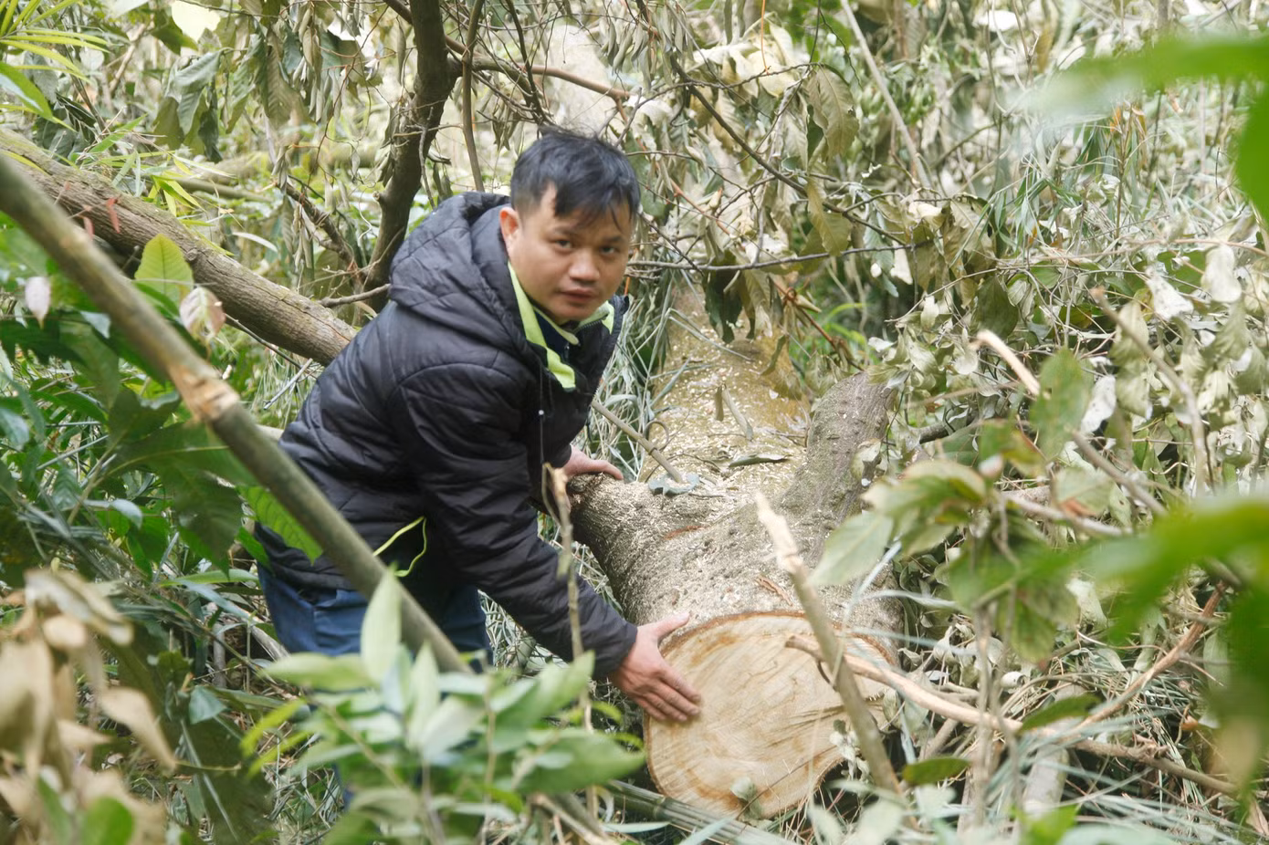 Phóng viên thường trú báo Tiền Phong tại Bắc Giang tác nghiệp điều tra chặt phá rừng Tây Yên Tử (huyện Sơn Động, tỉnh Bắc Giang)