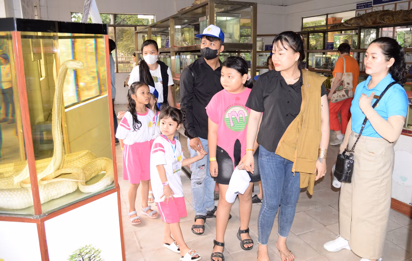 Bảo tàng rắn tại Trại rắn Đồng Tâm trưng bày tiêu bản của gần 50 loài rắn