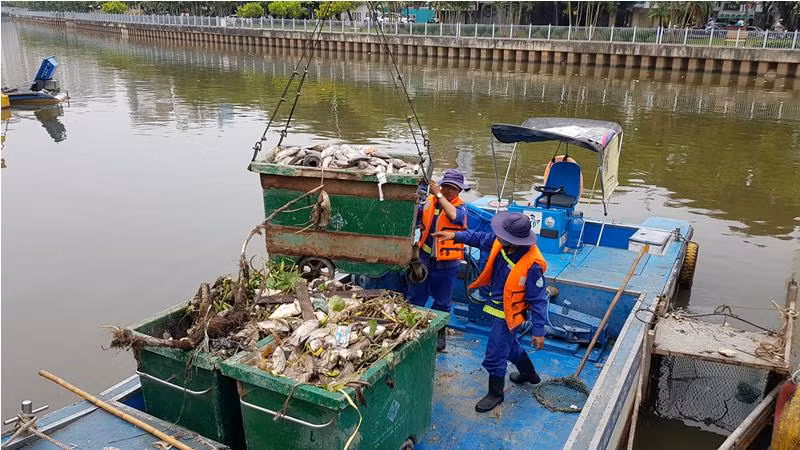 Cá chết nổi trắng kênh ở Sài Gòn sau mưa đầu mùa ảnh 2