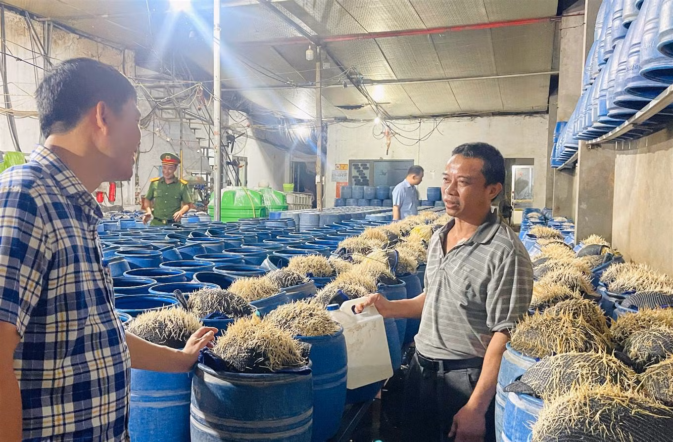 Giá đỗ được sản xuất trong các thùng có thể tích khoảng 15 lít. Ảnh: Tống Huệ