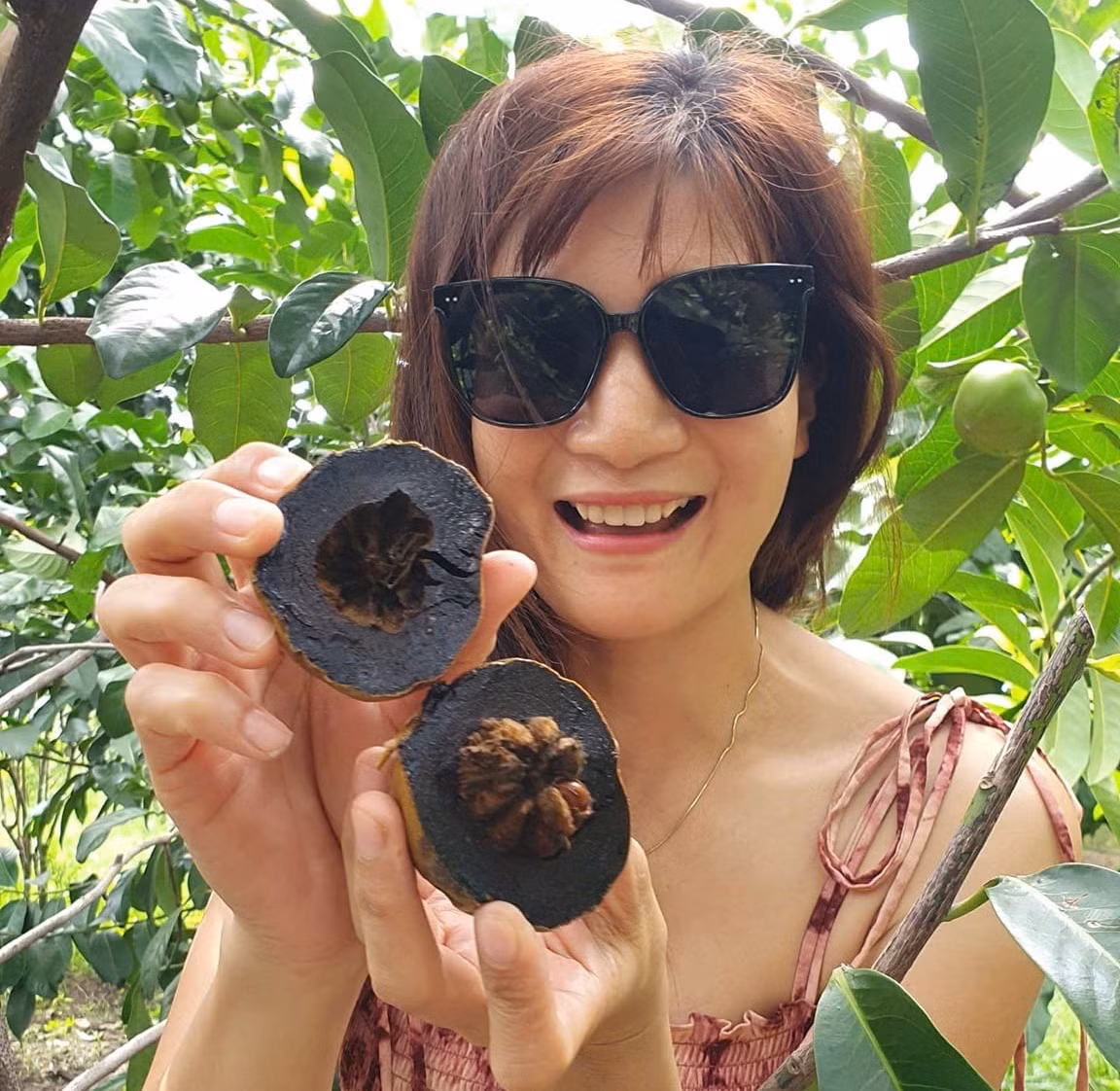 Từ trồng rau, ông thử nghiệm trồng các loại cây ăn trái trên sân thượng và thành công ngoài mong đợi.