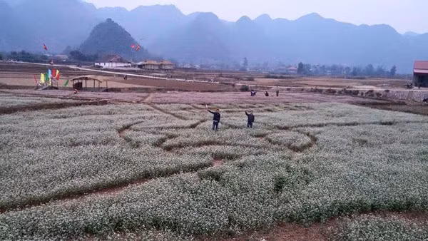 Bôi mặt dự lễ Ná Nhèm của người Tày ảnh 3