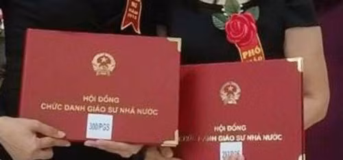 Nếu rà soát đầy đủ, số GS,PGS trượt còn nhiều hơn nữa ảnh 2