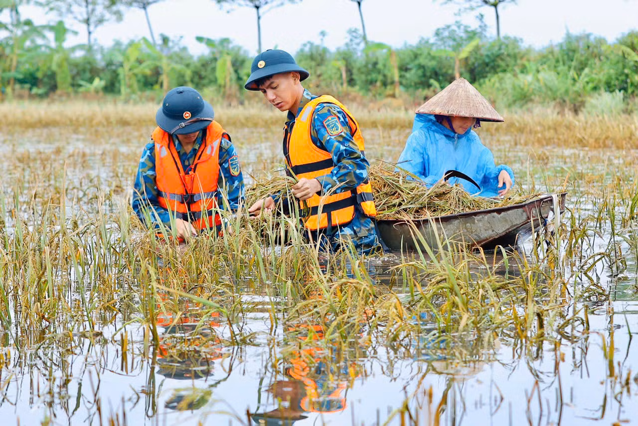 Trao đổi với PV báo Tiền Phong, Trung tá Đặng Đình Thịnh, Phó Chính ủy Trung đoàn 64/Sư đoàn 361/Quân chủng Phòng không - Không quân đóng quân trên địa bàn xã Đông Sơn huyện Chương Mỹ cho biết: "Thực hiện nhiệm vụ phối hợp với ban chỉ huy quân sự huyện Chương Mỹ khắc phục cơn bão số 3, Trung đoàn 64 đã cử 50 cán bộ chiến sĩ về địa bàn xã giúp bà con gặt lúa"