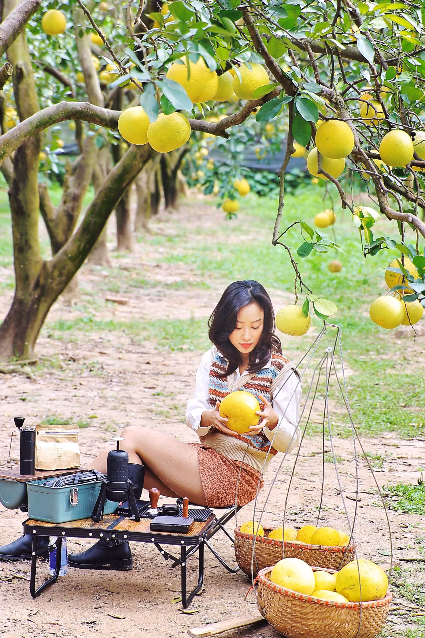 Trao đổi với Tiền Phong, ông Nguyễn Gia Dũng (chủ vườn bưởi) cho biết, trong năm sẽ có hai thời điểm người dân sẽ lui tới vườn bưởi đó là lúc bưởi đơm hoa và khi bưởi vào vụ chín. Nhà vườn mở dịch vụ đón khách tham quan với giá 50.000 đồng/người lớn và 25.000 đồng/trẻ em.