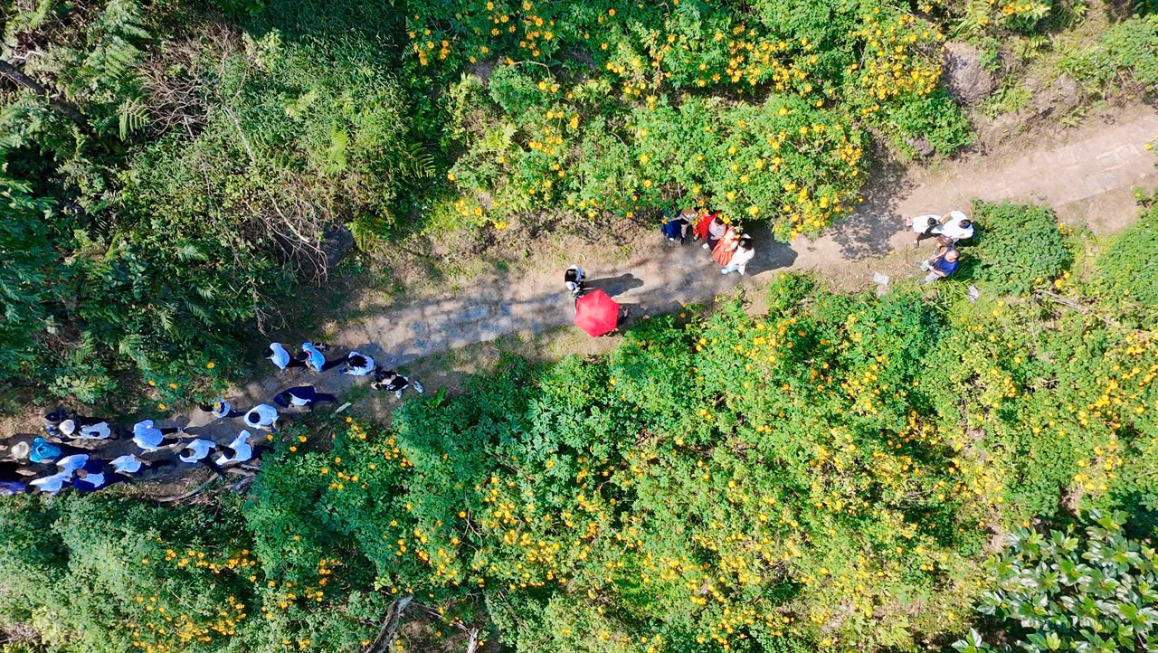 Cách trung tâm Hà Nội khoảng 60km, Ba Vì được thiên nhiên ban tặng cho khu rừng nguyên sinh Vườn quốc gia Ba Vì với thiên nhiên vô cùng trong lành, thoáng mát... Tháng 11, hoa dã quỳ tại Vườn quốc gia Ba Vì vào độ bung nở, khoe sắc vàng rực rỡ đầy sức sống, thuần khiết khắp các triền núi.