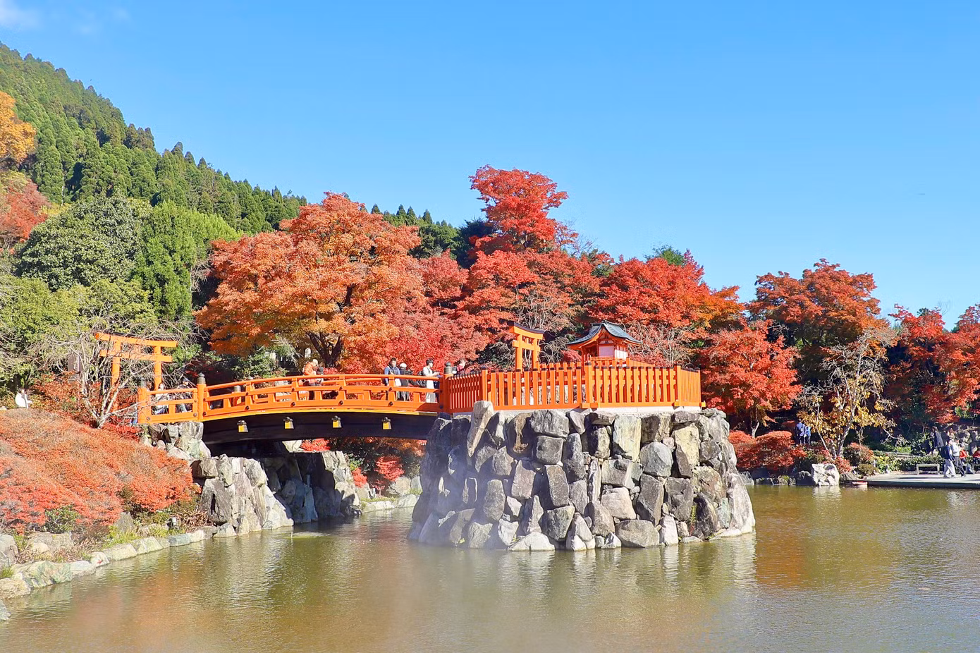 Katsuo-ji là ngôi chùa nằm ở Mino, phía bắc thành phố Osaka. Nằm trên ngọn núi bao phủ bởi những tán phong, đây vốn là nơi ngắm cảnh lá đỏ nổi tiếng nhất Osaka.