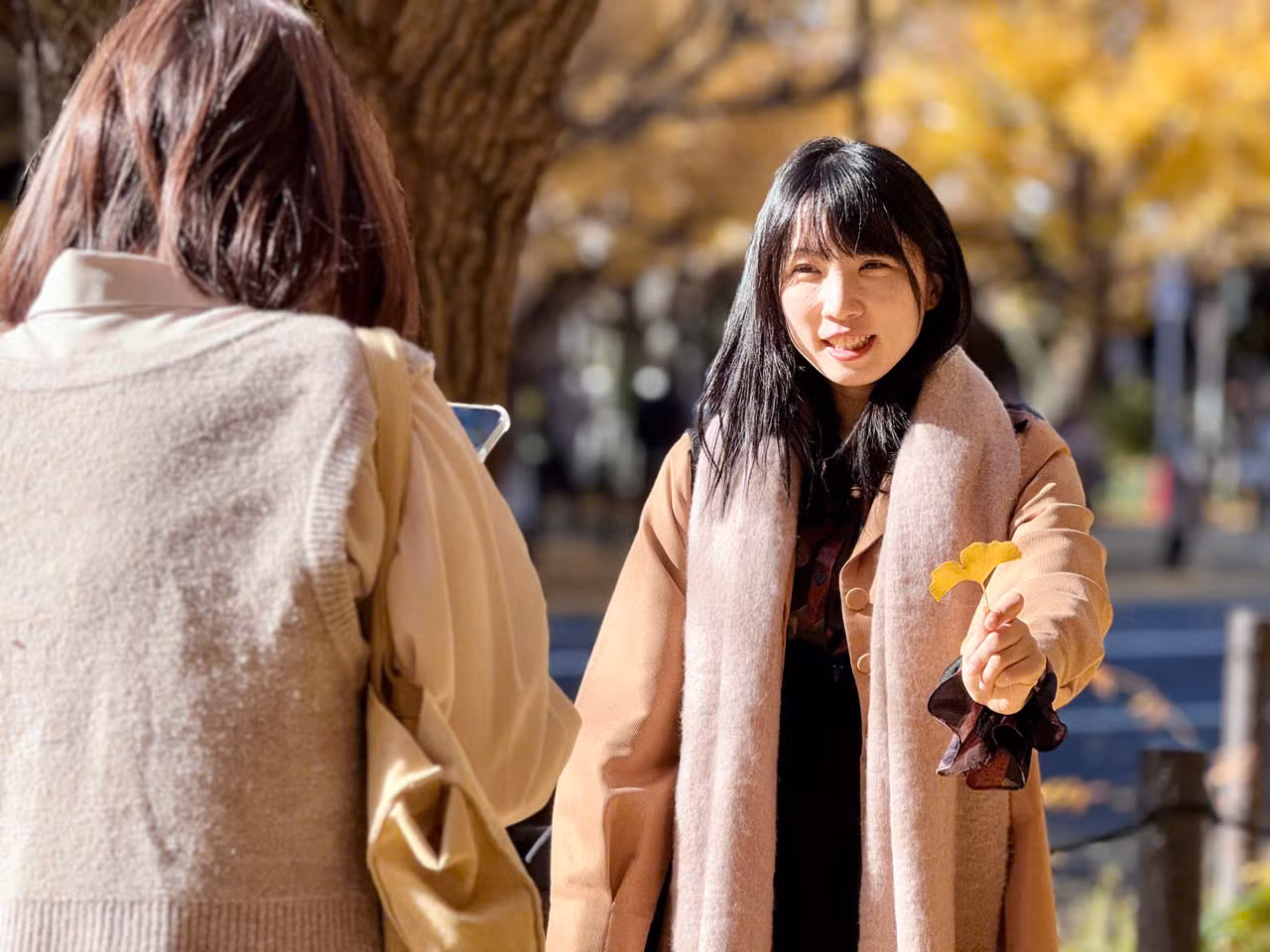 Khu Meiji Jingu Gaien với 150 cây ngân hạnh được trồng thẳng lối con đường hơn 300 m. Lá rụng tạo thành tấm thảm vàng tự nhiên, thu hút rất nhiều du khách đến tham quan, chụp ảnh.