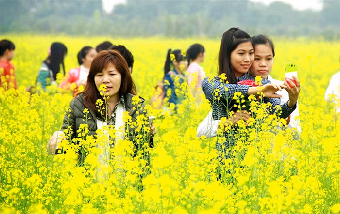 Giữa cánh đồng hoa cải vàng trải dài vô tận dưới nền trời xanh mênh mông, các bạn trẻ như thả mình vào với thiên nhiên