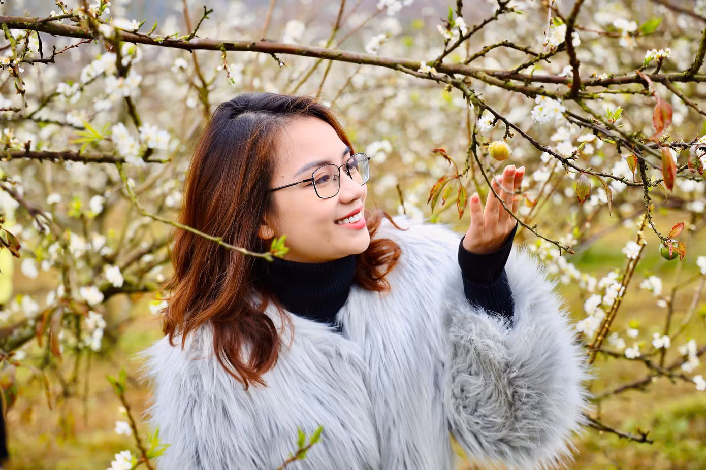 Chị Thu Hà (ở quận Đống Đa, Hà Nội) cùng gia đình và bạn bè vượt quãng đường gần 200km lên thung lũng mận Bảo Bảo cho biết: "Năm nào mình cũng lựa chọn mùa hoa mận nở đẹp nhất để lên đường, vì hoa mận chỉ nở rộ trong thời gian ngắn nên vẫn cố gắng sắp xếp công việc để đi du xuân, đắm mình trong những cánh rừng mận trắng muốt ngắm hoa mận bung nở và thưởng thức những trái mận đầu mùa là những trải nghiệm khó quên".