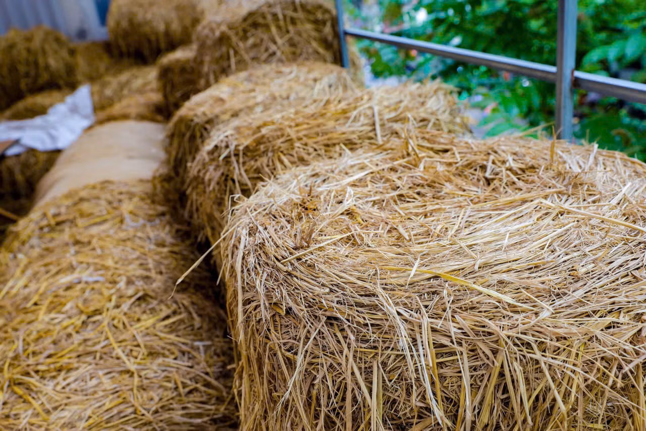 Nằm trên phố Huế sầm uất, một địa điểm có mặt tiền khiêm tốn nhưng bên trong là không gian rộng hơn 300m2. Mô hình cho thuê không gian làm việc ở ngay trung tâm Hà Nội với cách thu tiền theo giờ giống như… quán nét đang thu hút đông giới trẻ tìm đến làm việc, thư giãn.
