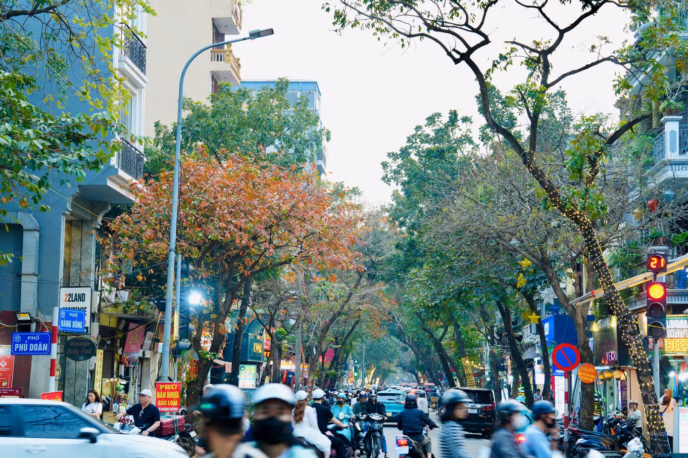 Ở nhiều góc phố Hà Nội, cây xanh bắt đầu chuyển sang sắc đỏ, sắc vàng rực rỡ.