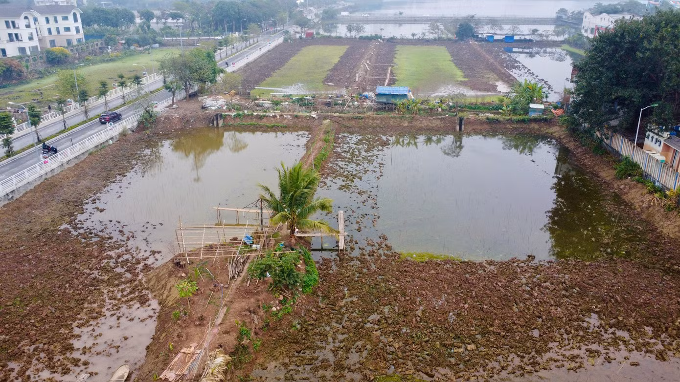 Thông tin về hồ Sen, vị này cho biết, hồ có diện tích khoảng 5,2ha, được Sở Tài nguyên và Môi trường Hà Nội giao cho Công ty Cổ phần đầu tư khai thác Hồ Tây thuê 20 năm. Đơn vị này sử dụng và trả tiền thuê đất hàng năm.