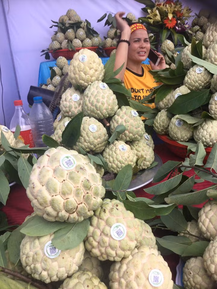 Ngỡ ngàng quả na 'khủng' mang tên Hoàng Hậu ảnh 2