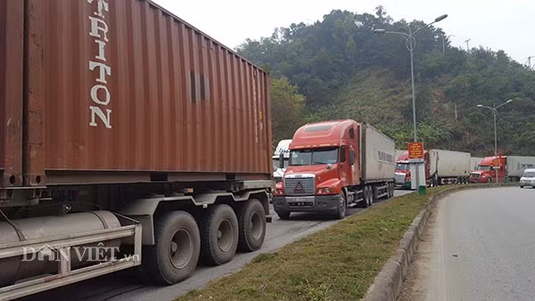 Chưa đầy 1 tháng, CSGT xứ Lạng phát hiện 1.700 xe vi phạm giao thông ảnh 3