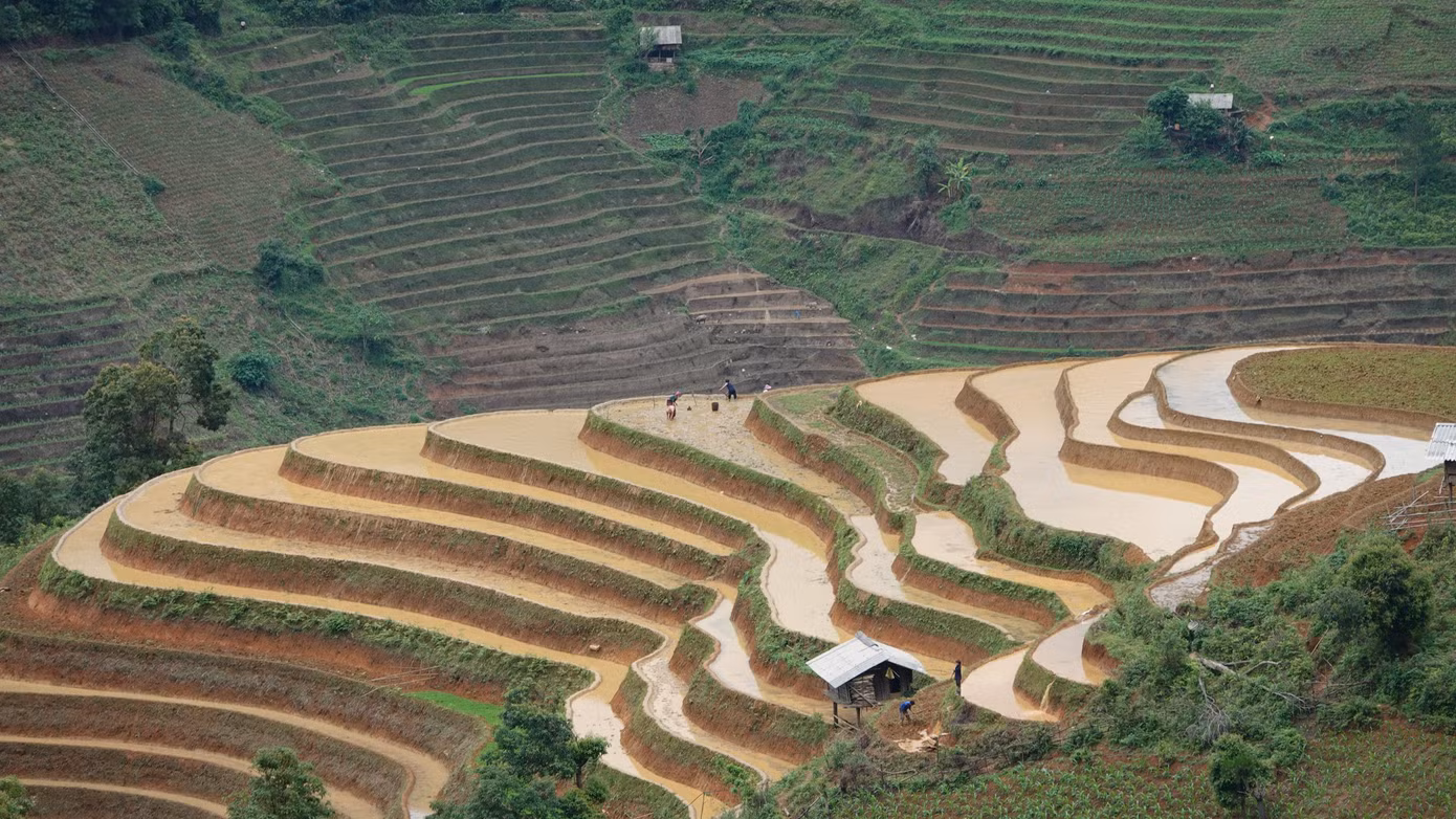 Những thửa ruộng mới cấy xanh rì, đan xen cùng luống đất nâu lóng lánh nước. Ruộng bậc thang là sự kết hợp hoàn hảo giữa vẻ hùng vĩ của núi rừng cùng vẻ đẹp của lao động sáng tạo, trải qua bao đời, bao thế hệ.