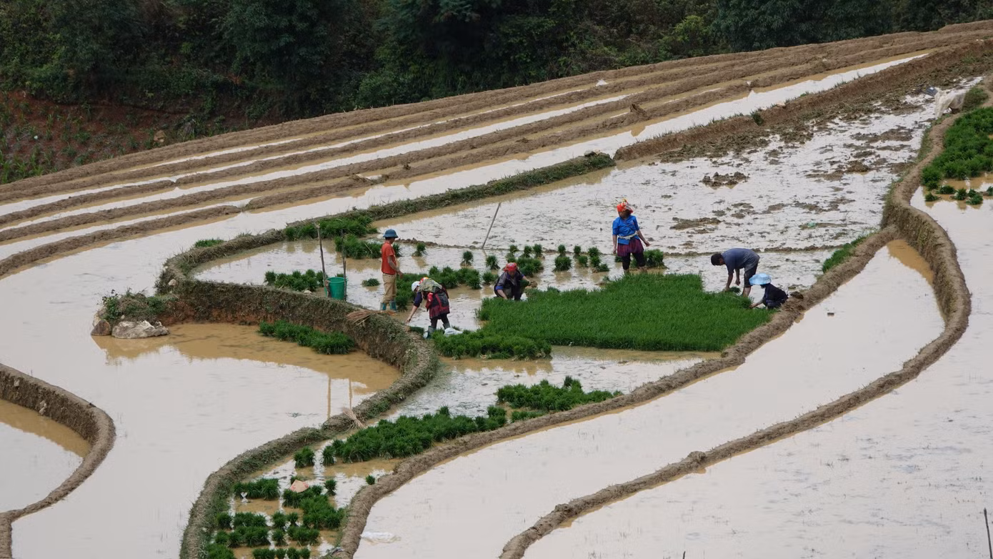 Năm 2007, ruộng bậc thang ở 3 xã La Pán Tẩn, Dế Xu Phình và Chế Cu Nha của huyện Mù Cang Chải được Nhà nước công nhận Danh thắng quốc gia. Năm 2020, ruộng bậc thang Mù Cang Chải được xếp hạng di tích quốc gia đặc biệt. Không chỉ vậy, Mù Cang Chải còn được bầu chọn vào top 10 ruộng bậc thang đẹp nhất thế giới.