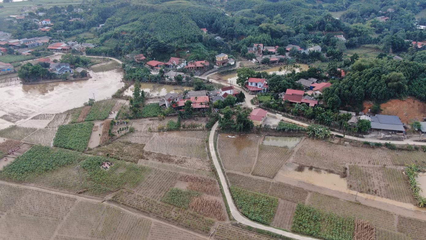 Ngoài dong riềng, đối diện bên kia sông Hồng, tại xã Kiên Thành, huyện Trấn Yên - nơi vựa dâu lớn nhất miền Bắc với hơn 1.000 ha cũng bị vùi lấp gần như toàn bộ. Công sức chăm bón cả năm trời của người dân đã đổ sông đổ biển.