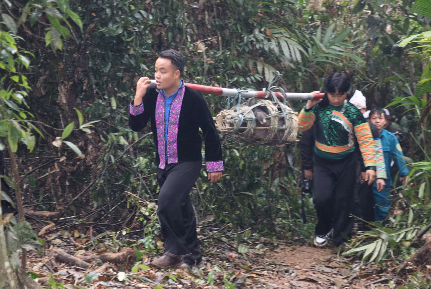 Ngày 9/3 (tức ngày 29 tháng Giêng năm Giáp Thìn), tại những cánh "rừng thiêng" của 3 thôn Bản Tát, Ba Khuy, Trung Tâm (xã Nà Hẩu, huyện Văn Yên, tỉnh Yên Bái) đồng loạt diễn ra Lễ cúng rừng. Đây là nghi lễ truyền thống lớn nhất và có ý nghĩa quan trọng nhất trong năm đối với đồng bào Mông nơi đây.