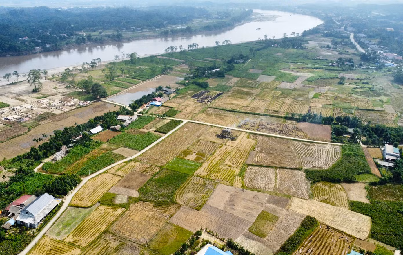 Ông Nguyễn Văn Huy - Chi cục trưởng Chi cục Trồng trọt và Bảo vệ thực vật tỉnh Yên Bái - cho biết, hiện màu xanh đã quay trở lại trên những cánh đồng, đặc biệt là các vùng chuyên canh một số cây chủ lực như cây dâu, cây bưởi, cây dong riềng...