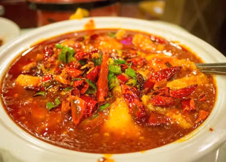 Những loại cây giải độc dễ tìm ảnh 3