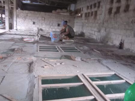Rắn được nuôi theo mô hình trang trại của gia đình anh Đông